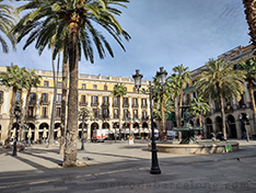Barcelona plaça reial