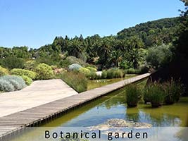 Barcelona botanical garden
