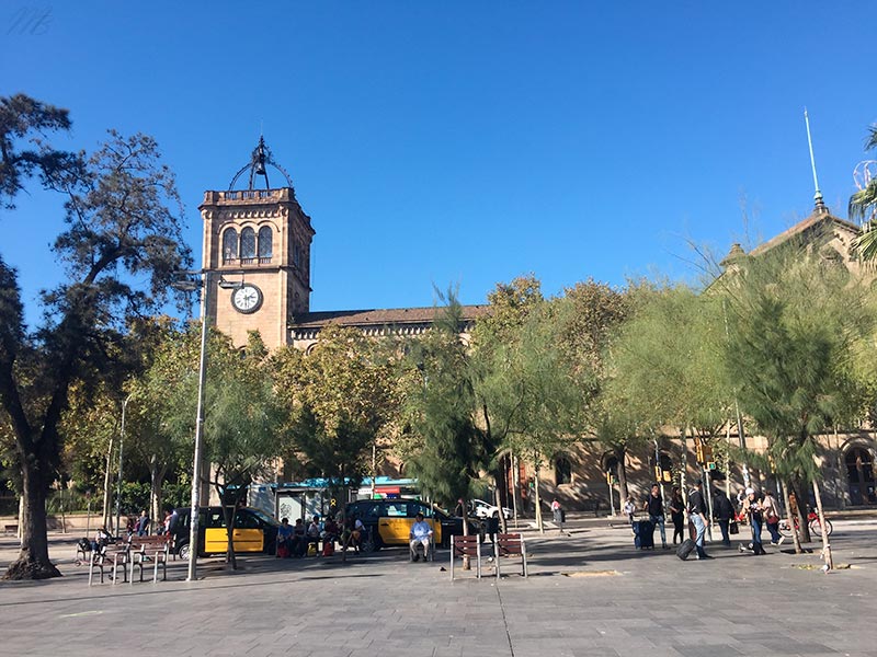 Barcelona plaza Universitaria