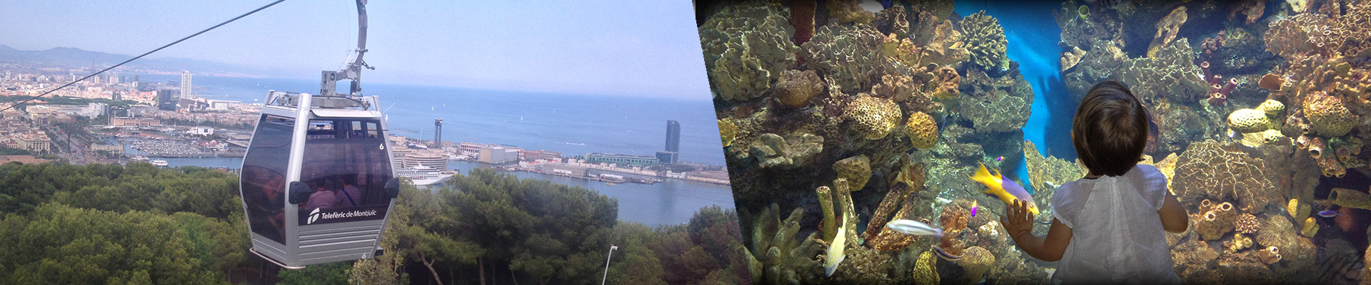 Barcelona tourist activities