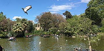 Ciutadella parc Barcelona