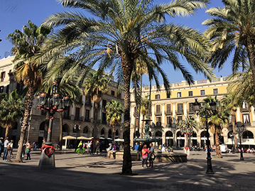 barcelone plaça reial photos