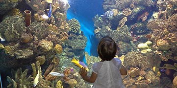 aquarium in Barcelona