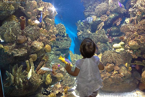 Barcelona aquarium