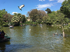 Barcelona parc de la Ciutadella