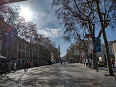 Rambla of barcelona