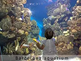 Barcelona aquarium