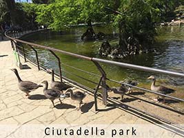 Barcelona ciutadella park