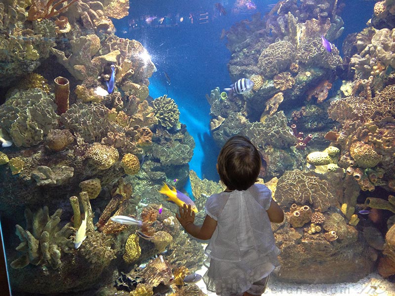 Barcelona aquarium metro