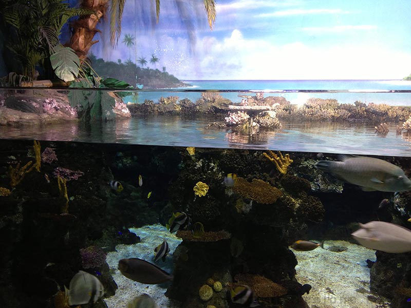 explora aquarium Barcelona