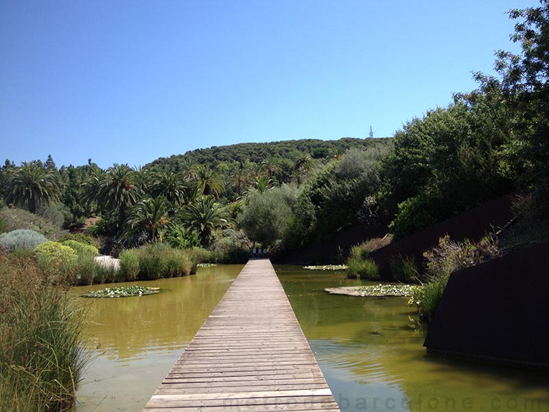 Botanical gardens in Barcelona