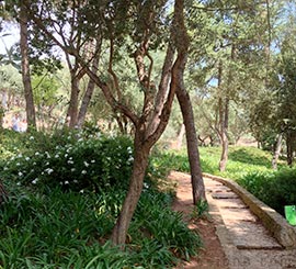 foto parque Guell de Barcelona