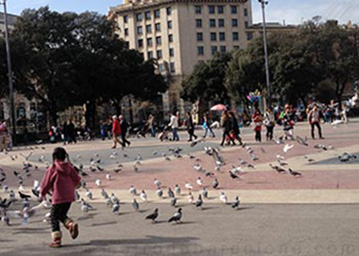 Barcelona Plaça Catalunya