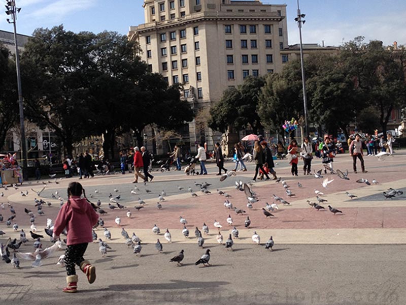 plaça catalunya barcelona fotos