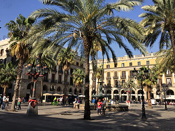 Barcelona plaza real fotos