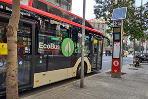 bus expres Francesc Macià Las Glòries