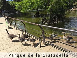 parque de la Ciutadella de Barcelona