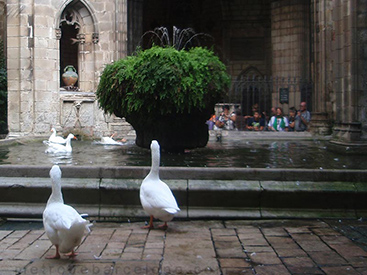 Cathédrale de Barcelone