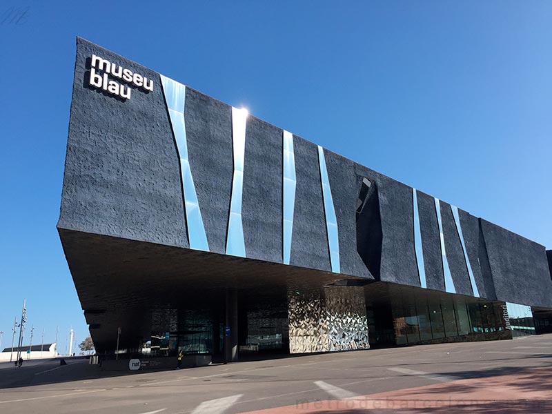 musée des sciences naturelles de Barcelone