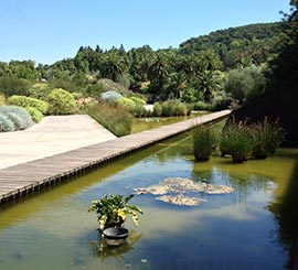 Jardin Botanique de Barcelone