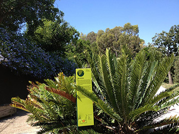 plantes d'afrique jardin botanique barcelone