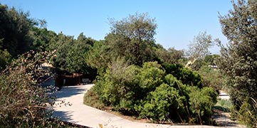 jardin botanique Montjuic Barcelone