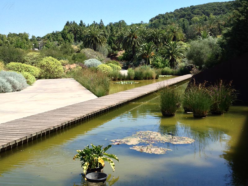 Barcelona jardin botanique