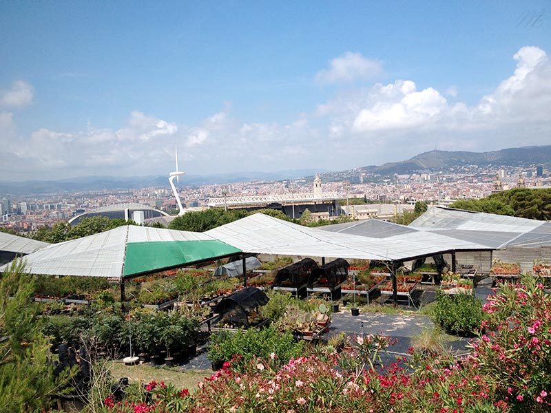 Barcelone jardin botanique