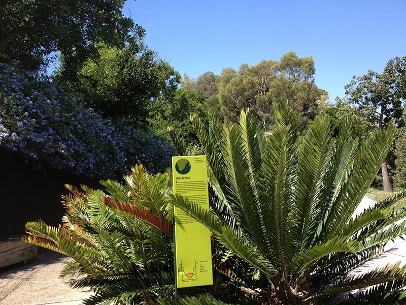 plantes d'afrique jardin botanique barcelone