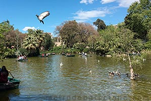 Barcelone parc de la Ciutadella