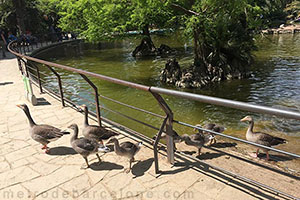 parc de la Ciutadella de Barcelone