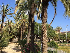 Parc Joan Miro Barcelona