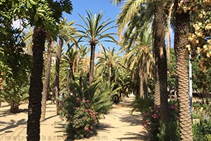 Barcelone parc Joan Miro