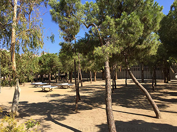 Barcelone parc Miro