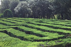 Barcelone labyrinthe Horta