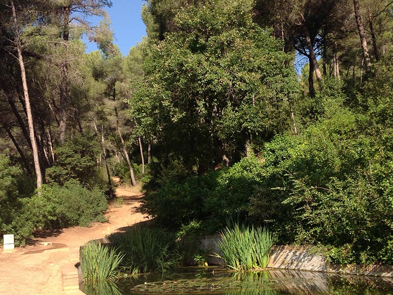 parc Horta labyrinthe