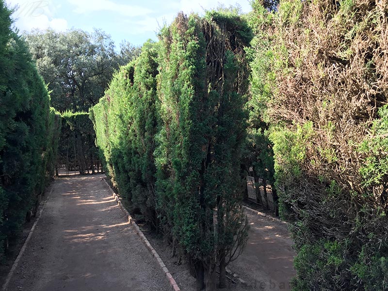 Parc labyrinthe Horta de Barcelone