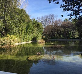 Jardins du Palau Reial de Pedralbes Barcelone