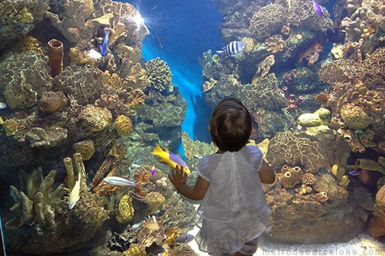 Barcelone aquarium
