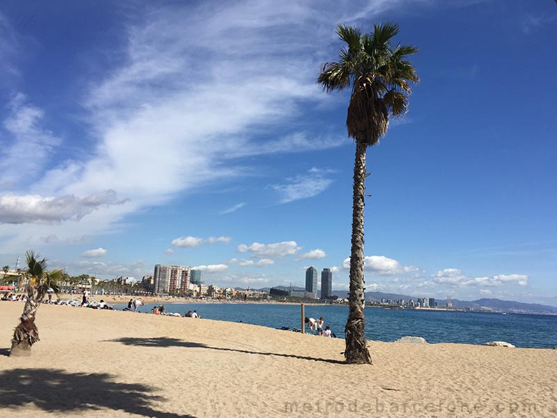 photos plages de Barcelone