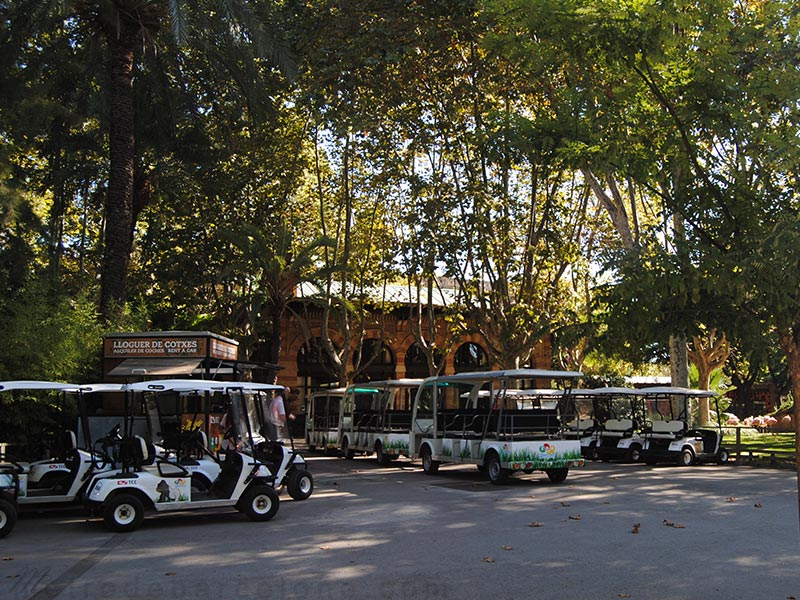 Location voiturettes zoo Barcelone