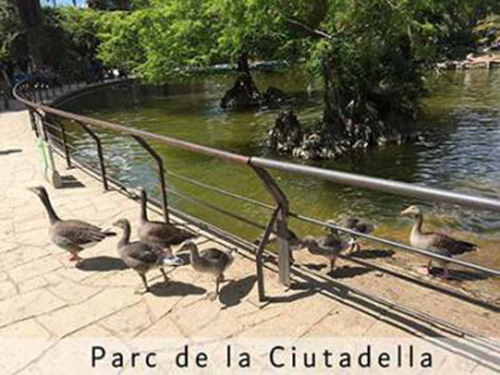 photos parc Ciutadella Barcelone